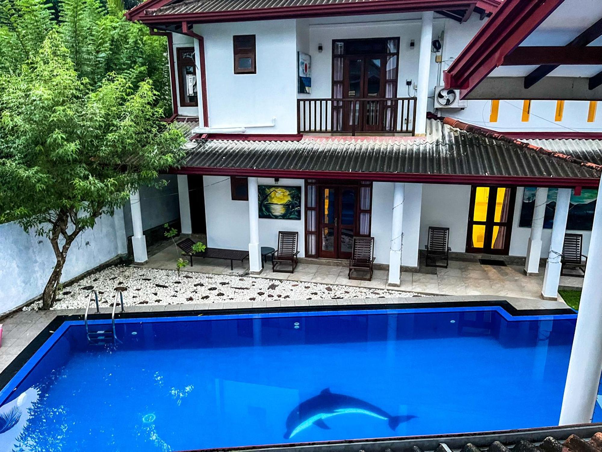 Galle Camellia Exterior photo